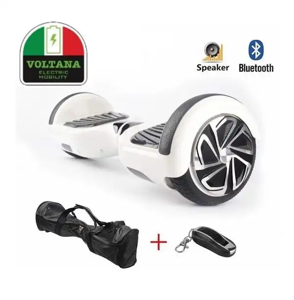 Lucas Electronics - Oplader Adapter Voor Hoverboard 6.5 Inch 8 Inch 10 Inch En Off Road  Oxboard Dc42v 2a  Ce Gekeurd 8719689550301