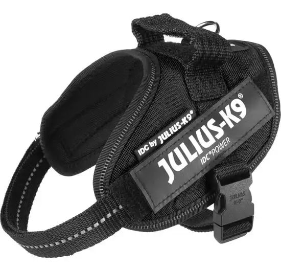 Julius K9 Tuigje