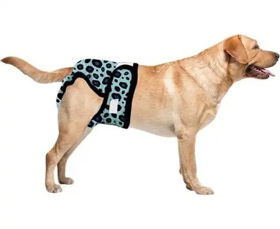 Sharon B Loopsheidbroekje