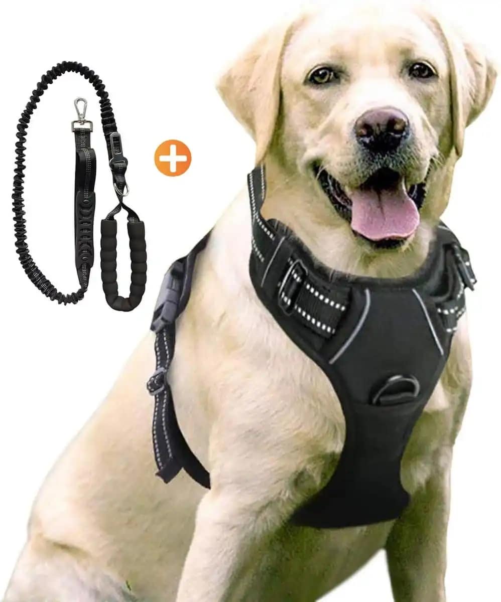 ACE Pets Easy Walk Hondentuig
