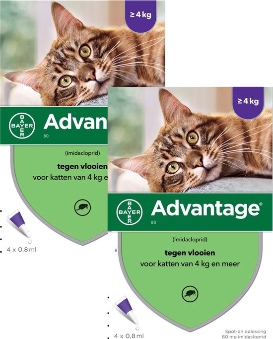 Advantage 80