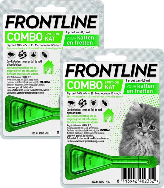 Frontline Combo Kitten